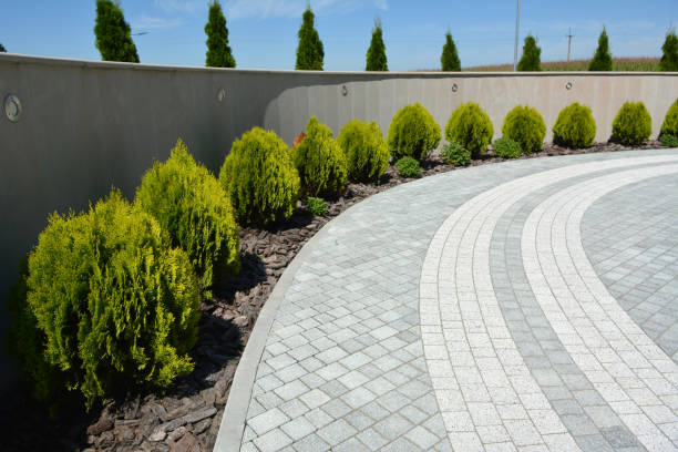 Best Custom Driveway Pavers  in Hawthorn Woods, IL